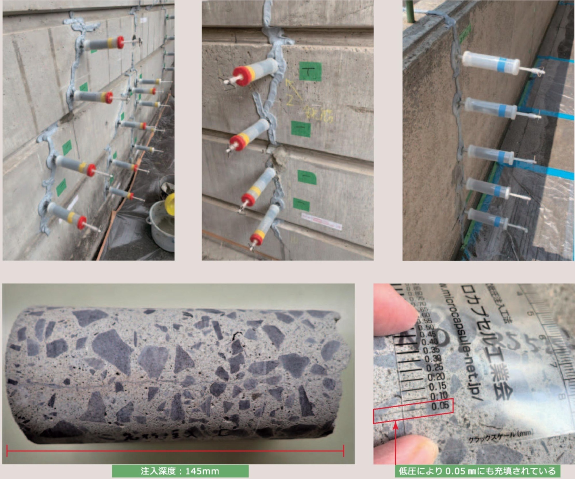 写真:ミクロカプセルGP